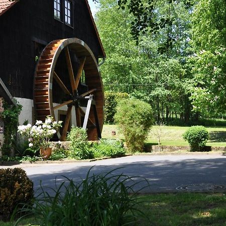 Landgasthof Geiersmuhle Hotell Vielbrunn Exteriör bild