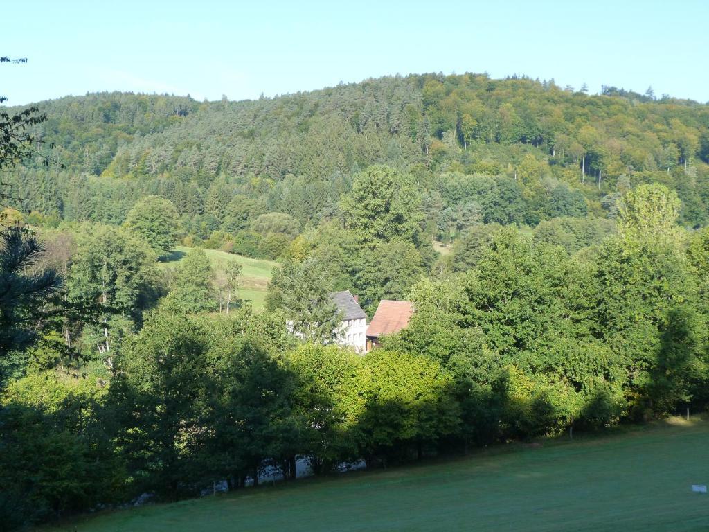 Landgasthof Geiersmuhle Hotell Vielbrunn Exteriör bild